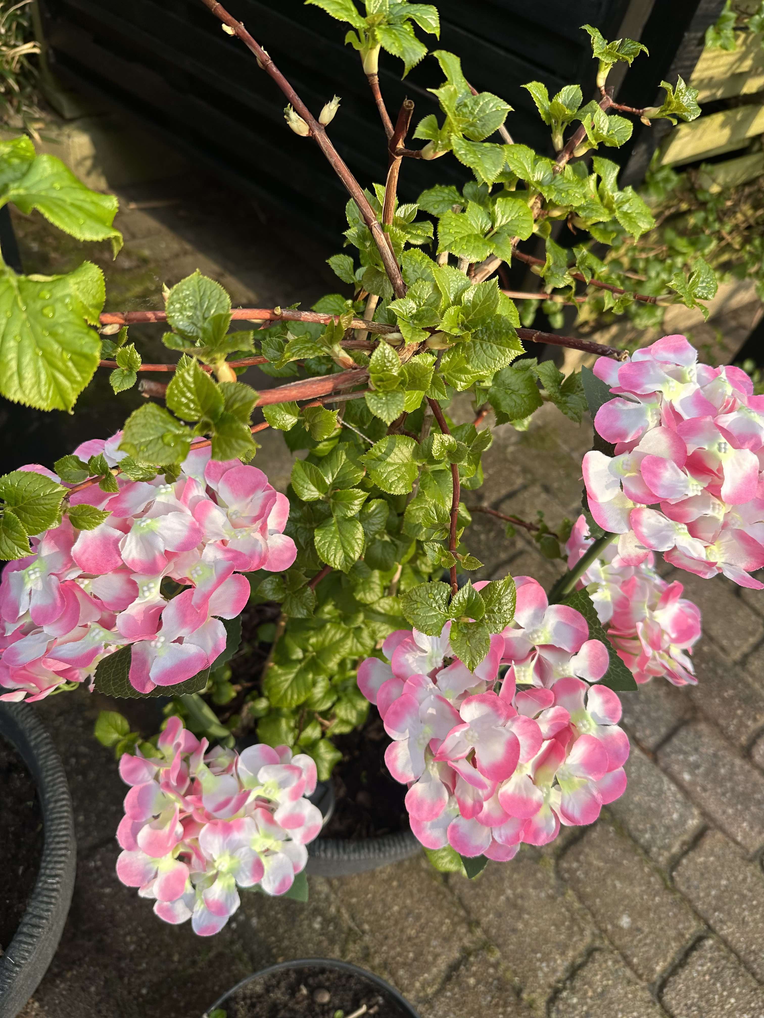 GlowFlora – Magical Light Accents for Your Garden
