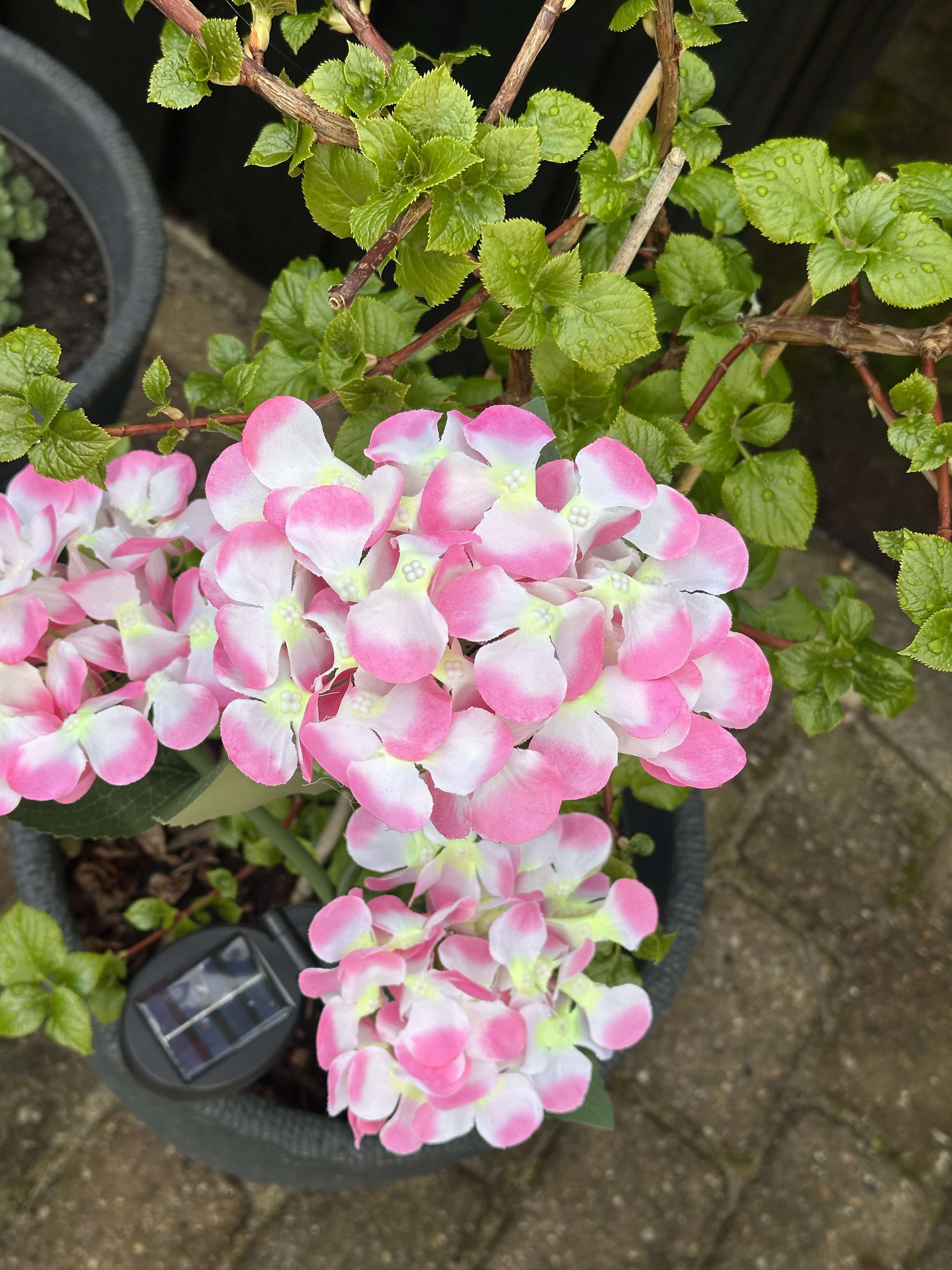 GlowFlora – Magical Light Accents for Your Garden