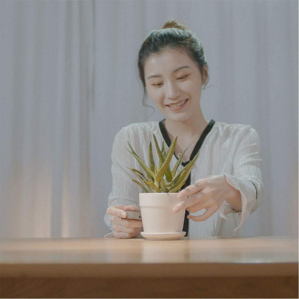 SnapMeasure – Measure Precisely in Seconds!