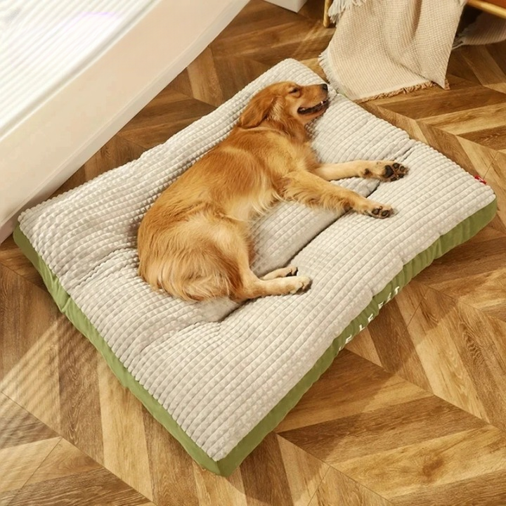 PawHaven – For Restful Sleep and Happy Dog Days