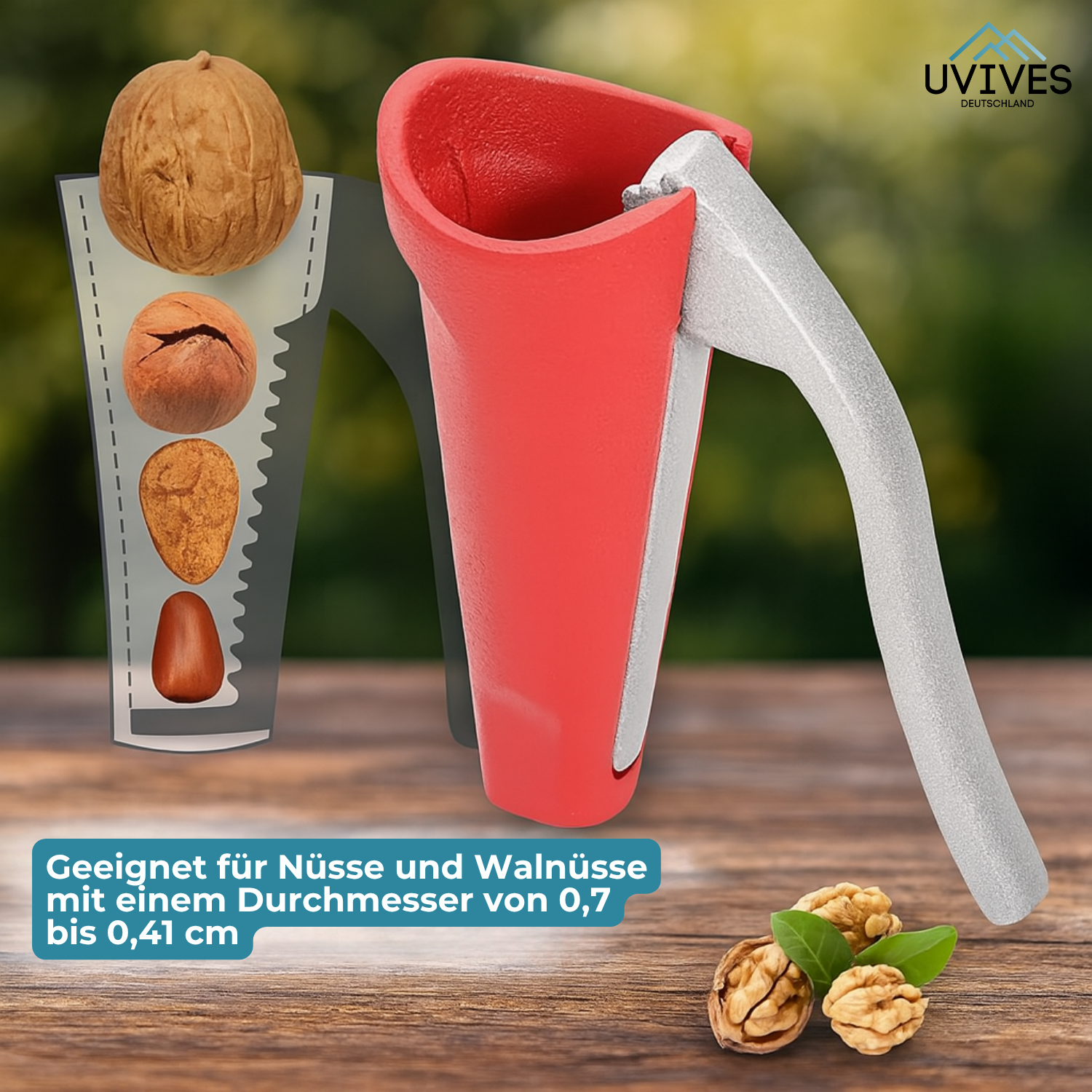 1+1 FREE | NussMeister – Cracks Every Nut with Minimal Effort