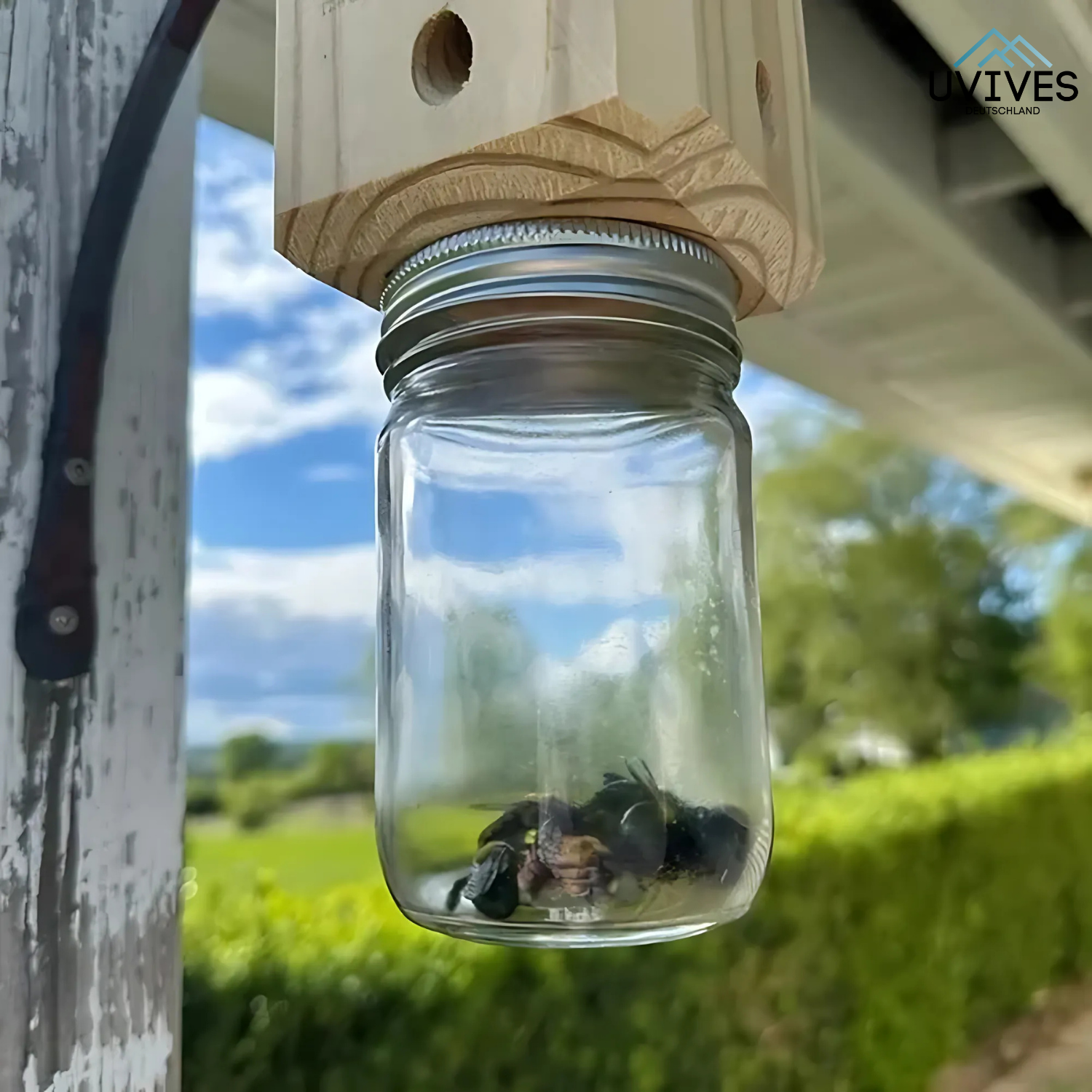 WoodGuard – The Chemical-Free Trap Against Carpenter Bees