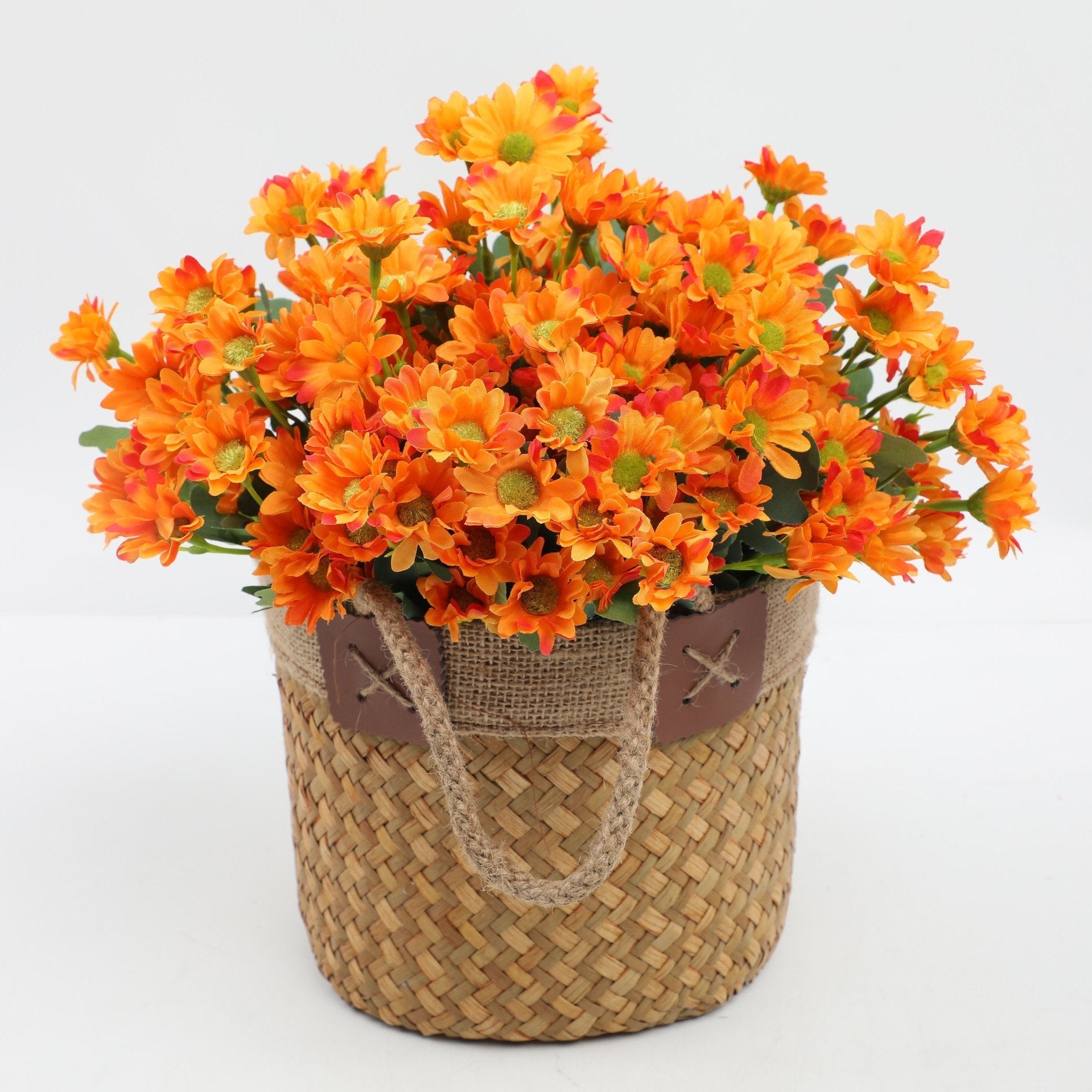 2+1 FREE | BloomoraSunset – Autumnal Splendor That Never Fades