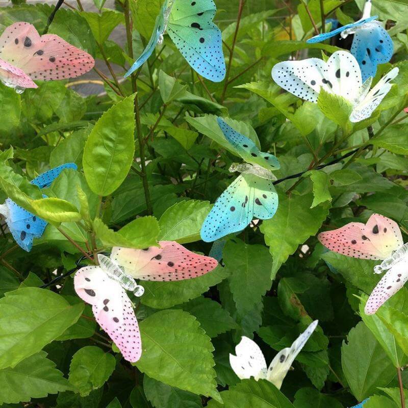LumiWings – Transform Garden & Home into a Fairy Tale Land!