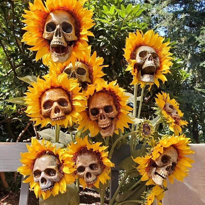 BloomSkull – The Spooky-Beautiful Sunflower for Halloween!