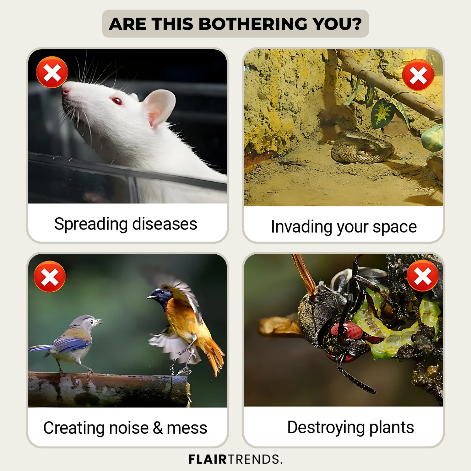 1 + 1 FREE | VibraGreen – Peace for Your Garden