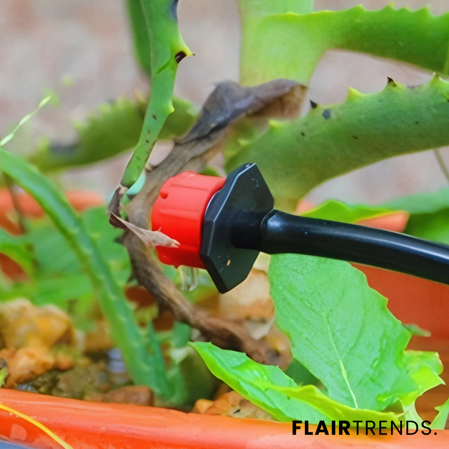 AquaDrip – Drip Irrigation Made Easy (Set of 100)