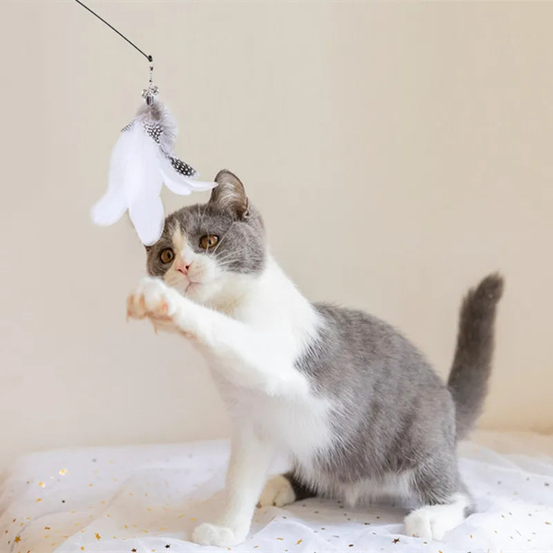 WildWing – Unleash Your Cat's Inner Hunter!