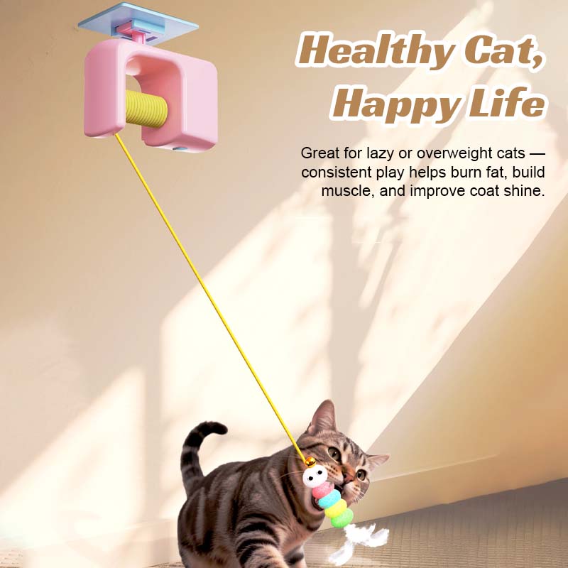 PawRush – Bring Out Your Cat’s Wild Side with Automated Play