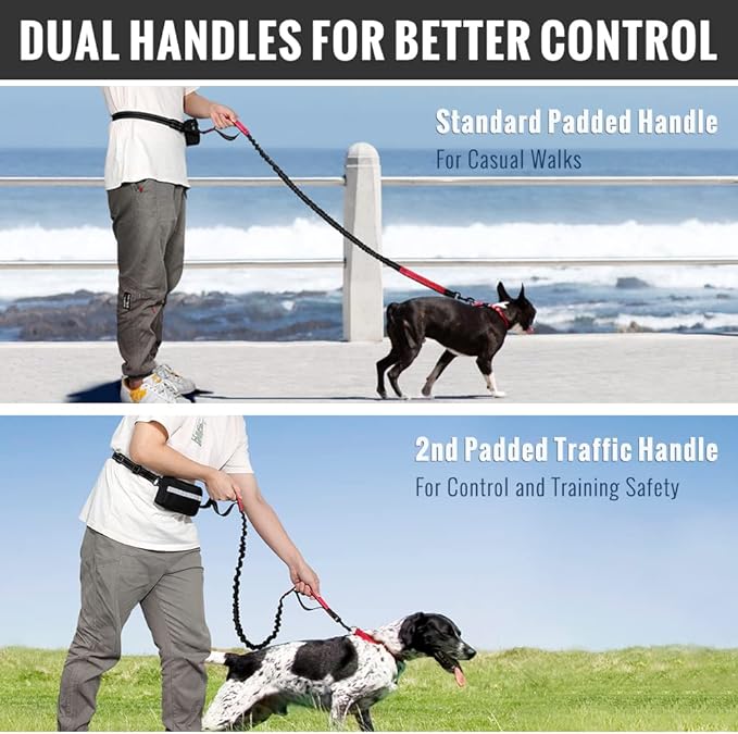PawsFree Pro – Stress-Free Walks with Your Dog