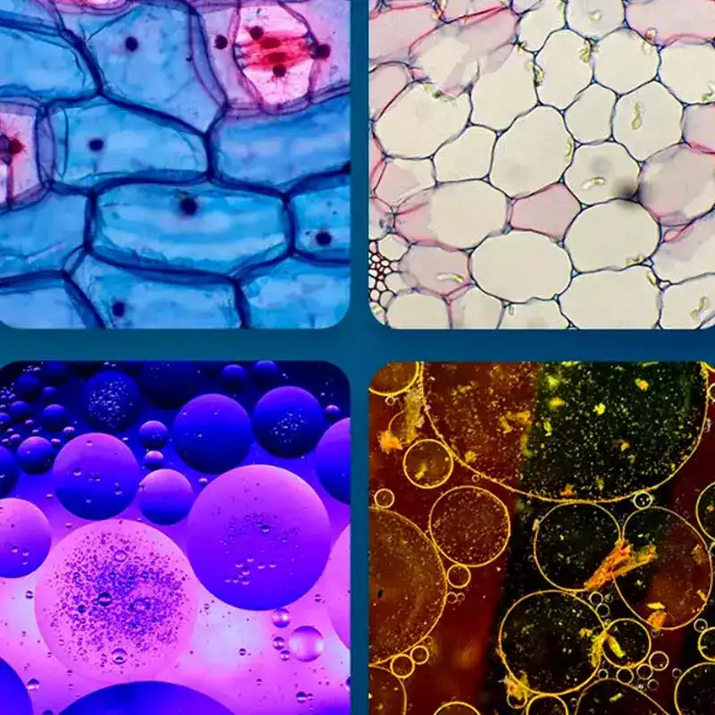 MicroQuest – The Pocket Microscope Fun for Little Explorers