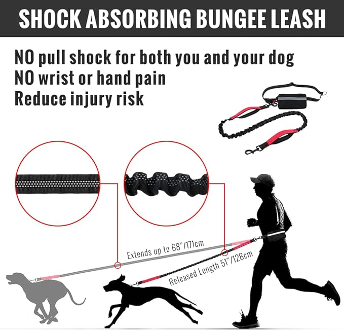 PawsFree Pro – Stress-Free Walks with Your Dog