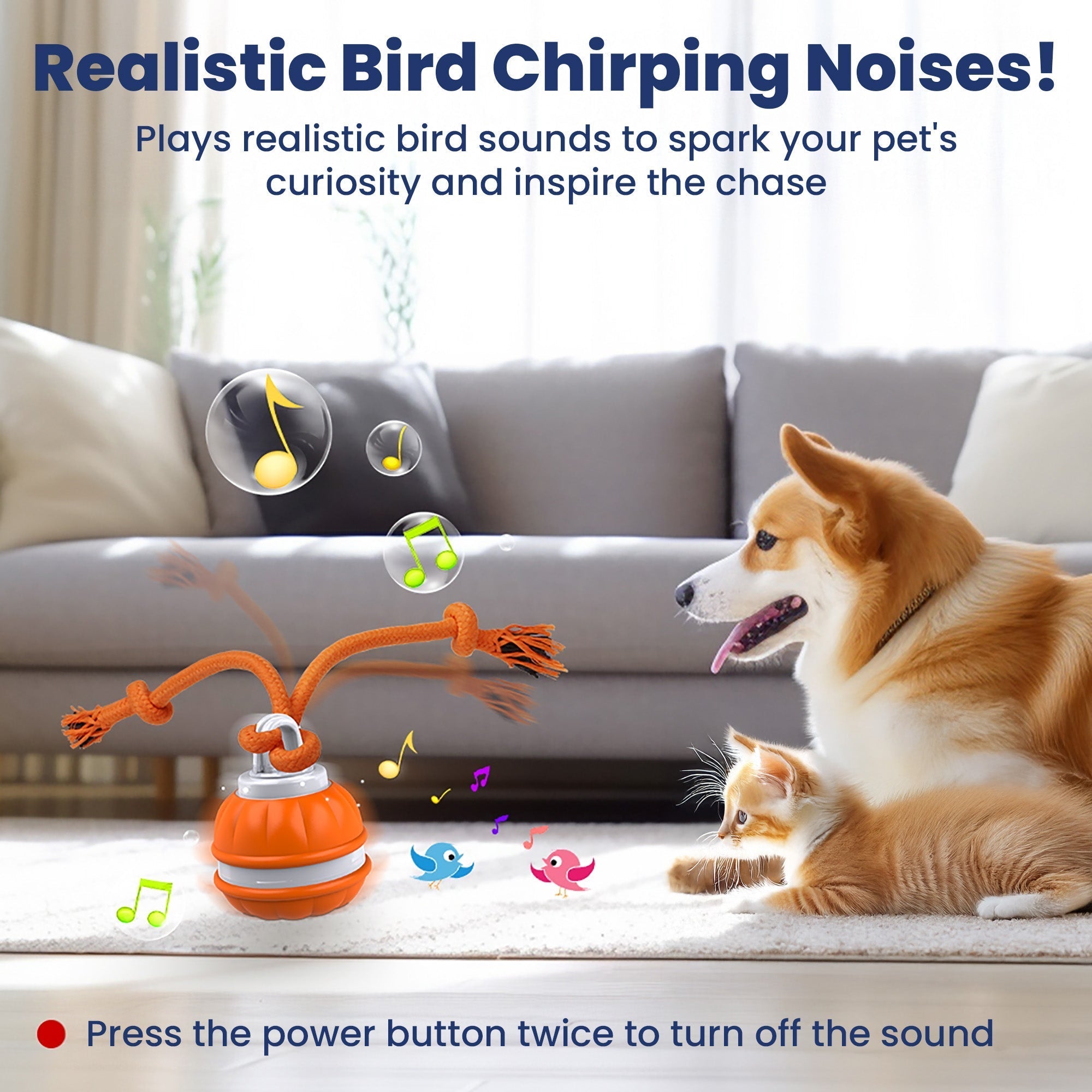PawiBall – Finally a happy & fulfilled dog!
