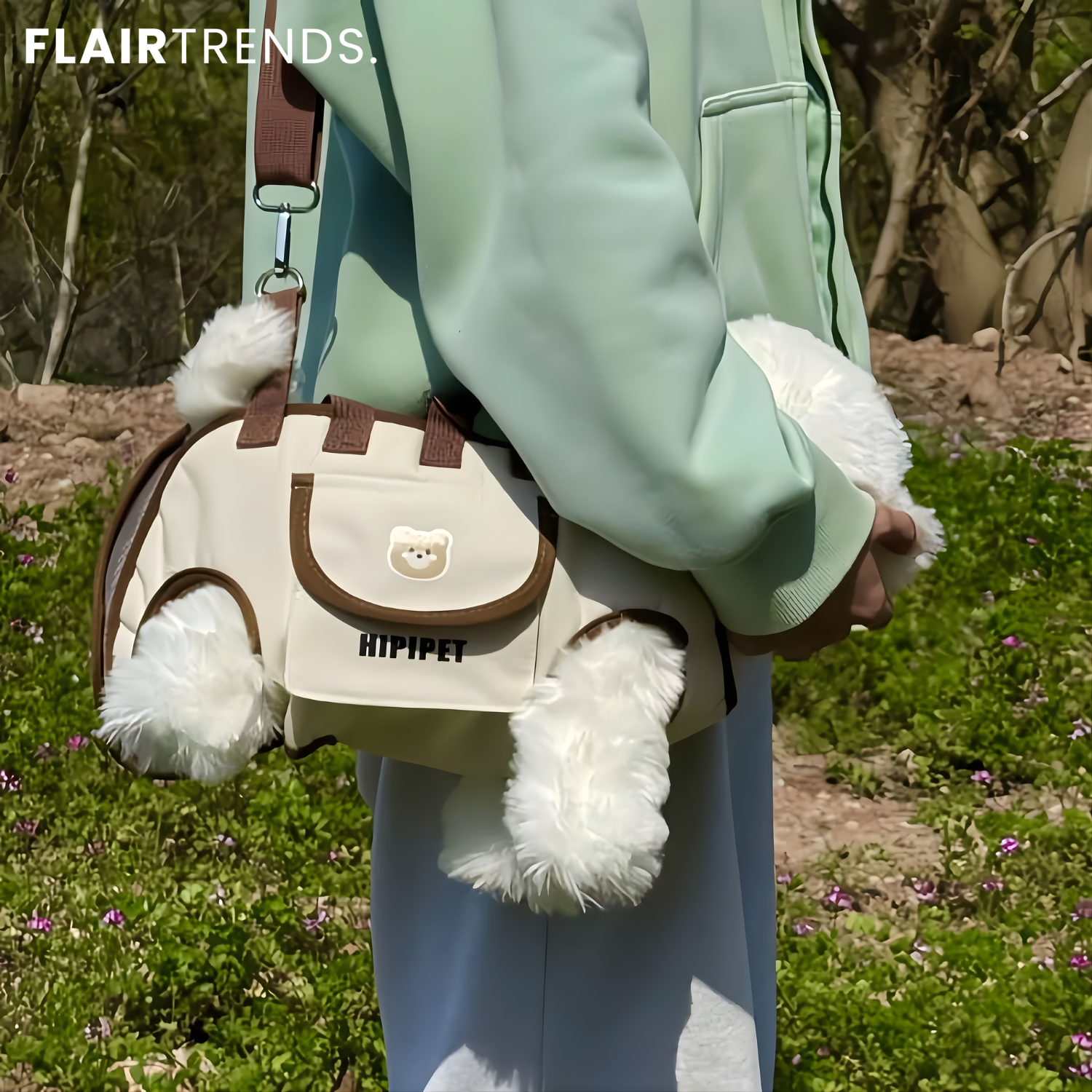 PetGo – Comfort & Safety for You and Your Pet