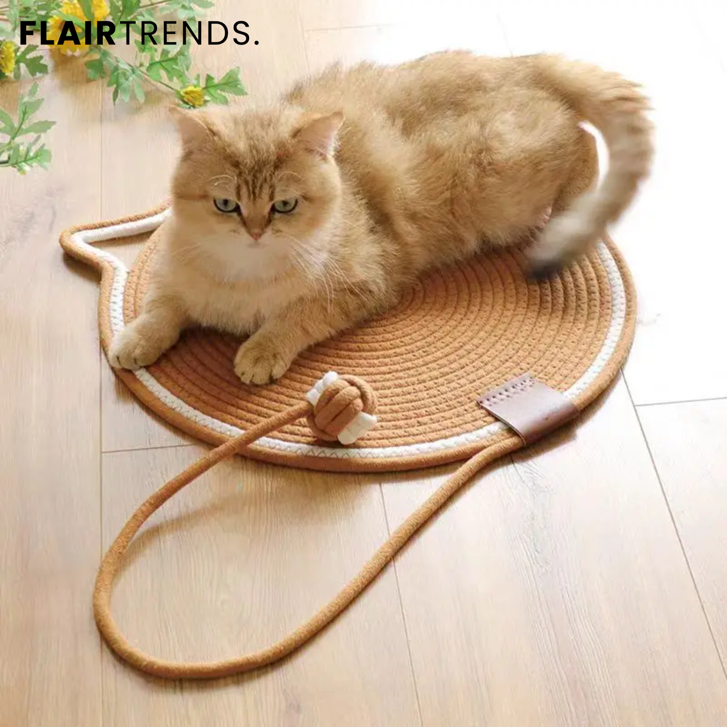 ClawMat – Scratching Fun for Your Cat, Protection for Your Home!