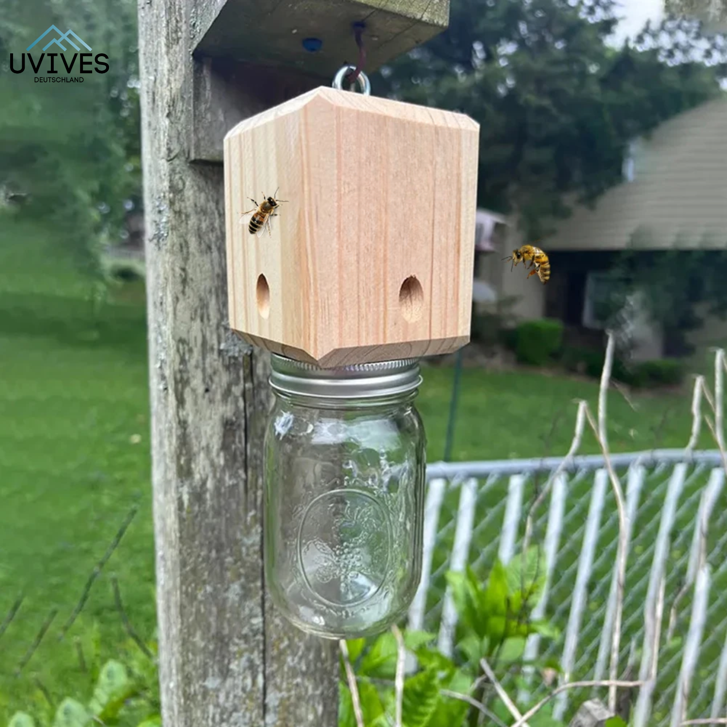 WoodGuard – The Chemical-Free Trap Against Carpenter Bees