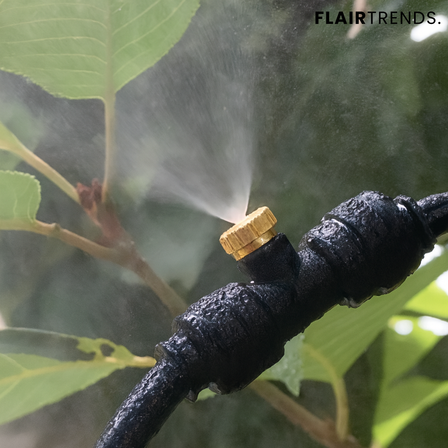 MistyFlow – The Automatic Irrigation System for Healthy Plants
