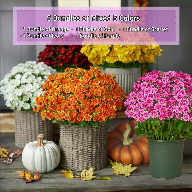 AutumnBloom – Lasting Autumn Splendor Without Maintenance!