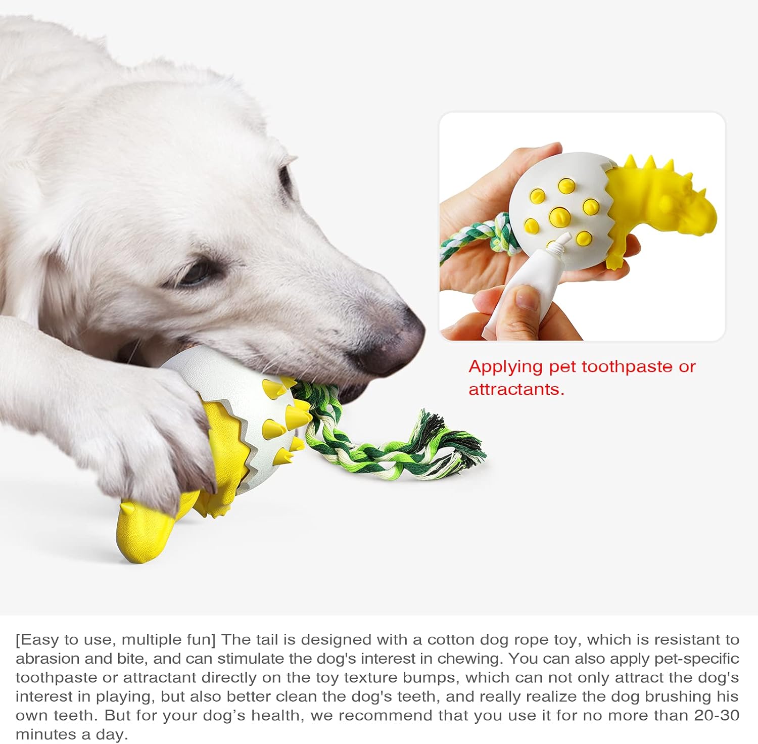 DinoEgg – The Indestructible Chew Egg for Healthy Dog Teeth