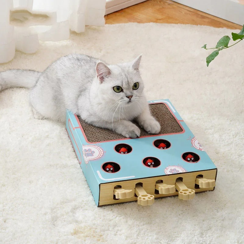ScratchNest – Scratch, Play & Relax in One!