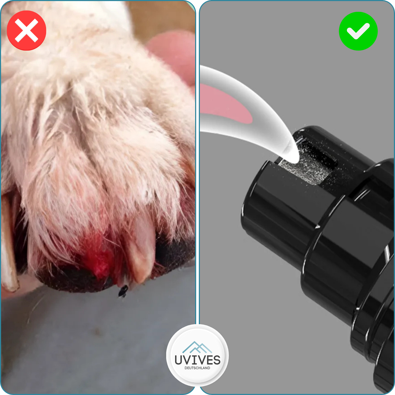 TrimPaw – Gentle & Safe Nail Care for Your Dog