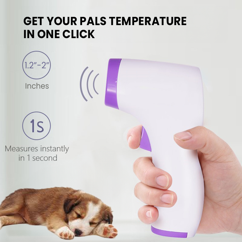 PawTemp – Touch-Free Temperature Checks for a Calmer, Healthier Pup!