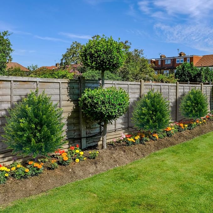 1+1 FREE | EverGreen – Evergreen Elegance Without Maintenance!