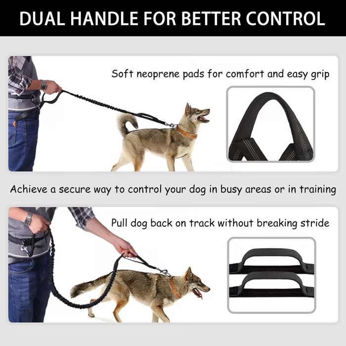 PawsFree Pro – Stress-Free Walks with Your Dog