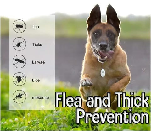 1+1 FREE | TickBlock – Protection from Ticks Without Chemicals!