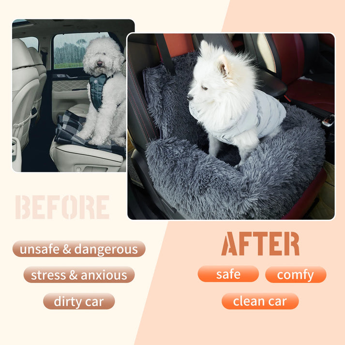 CarPaw – Travel Safely & Relaxed with Your Dog!