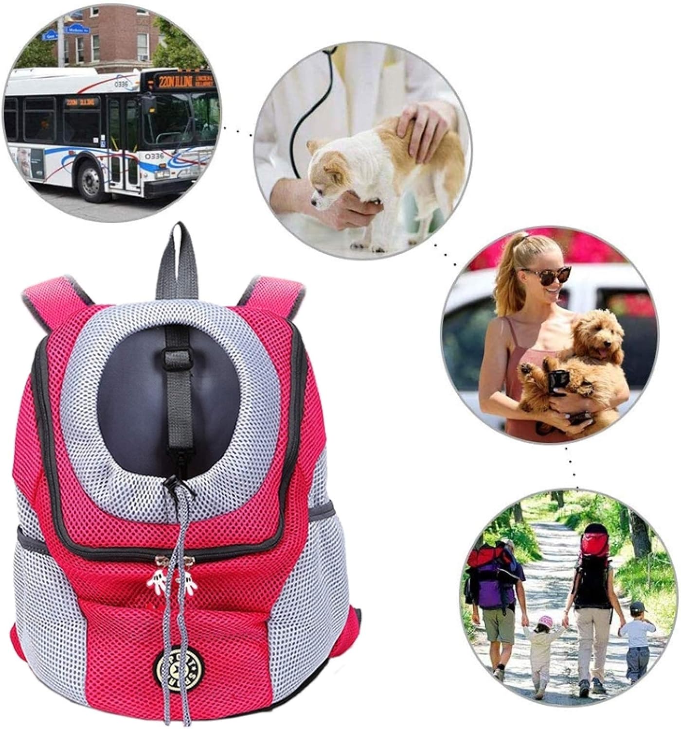 PawCarry – Traveling Together Everywhere