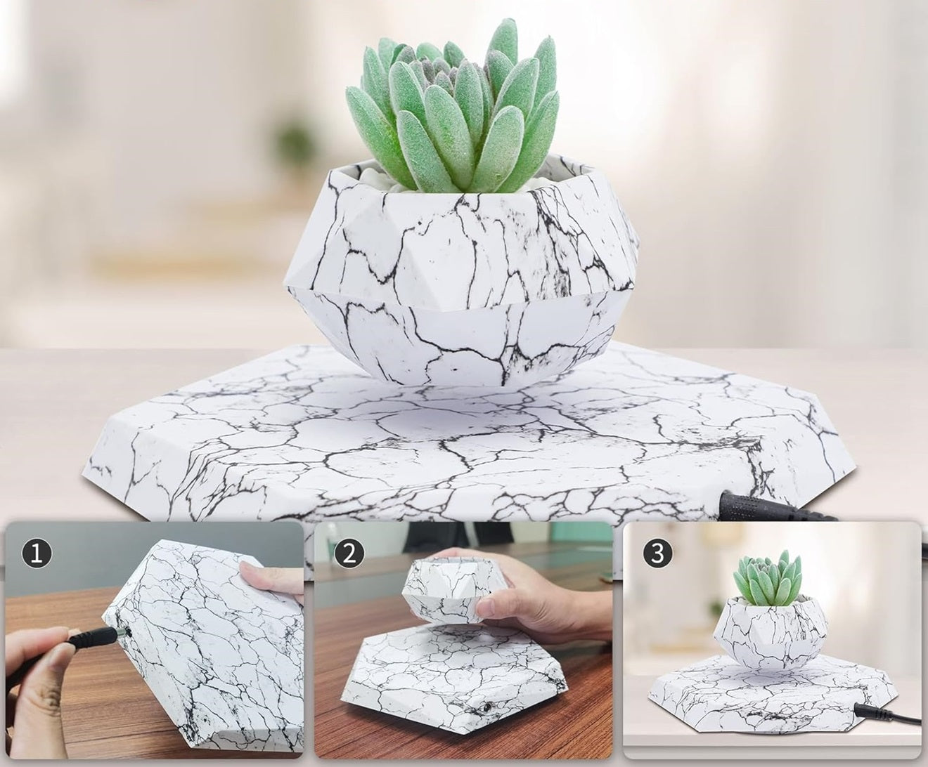 Plantlev – The Floating Plant That Attracts All Eyes!