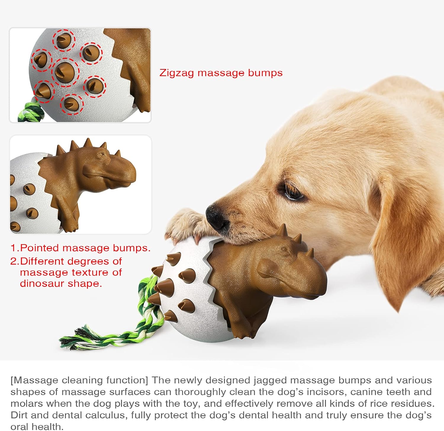DinoEgg – The Indestructible Chew Egg for Healthy Dog Teeth