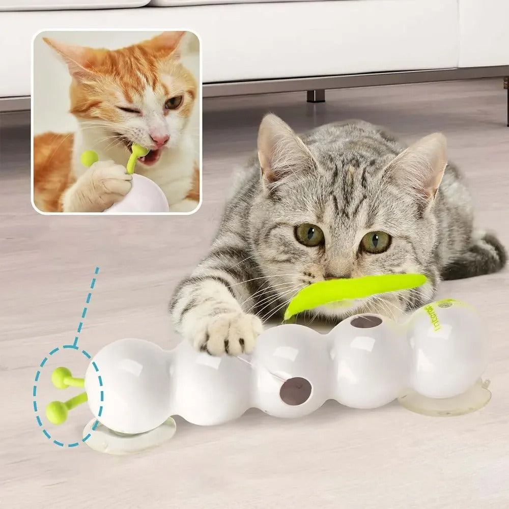 CatWhirl – Bring the Wild Hunter Back!