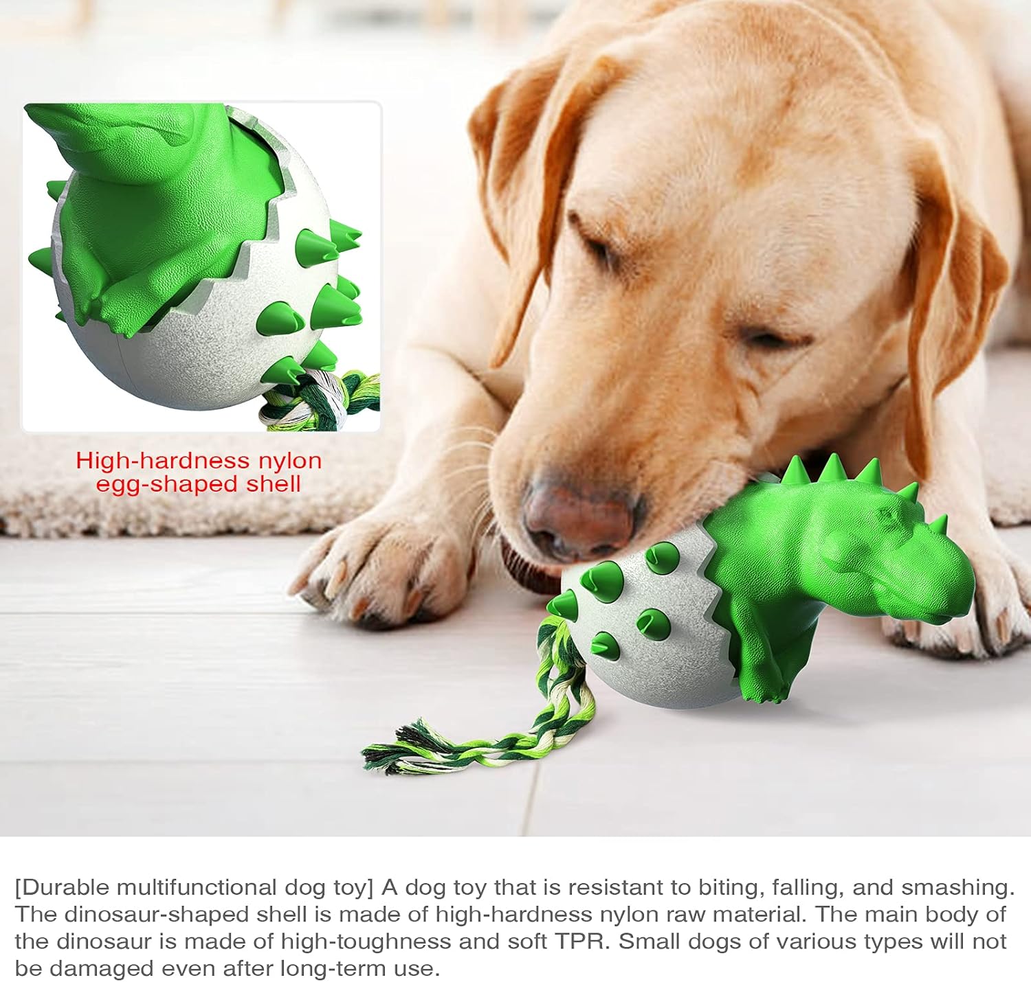 DinoEgg – The Indestructible Chew Egg for Healthy Dog Teeth