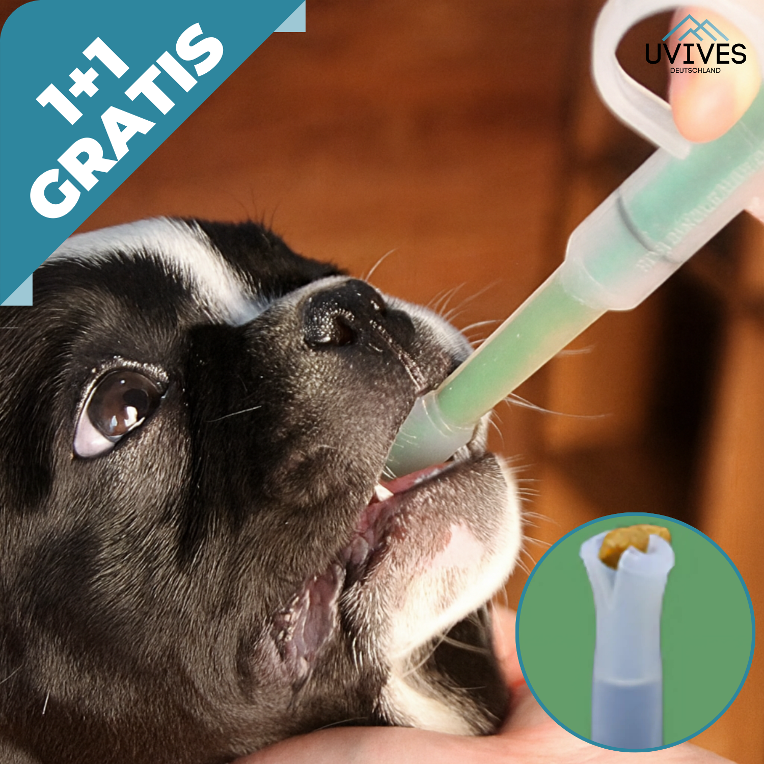 1+1 FREE | PetFeeder Pro – Stress-Free Medication Administration for Pets!
