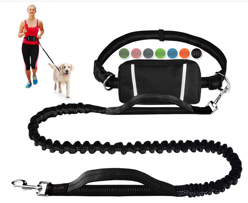 PawsFree Pro – Stress-Free Walks with Your Dog