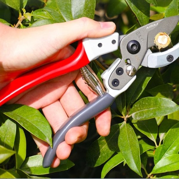 TrimTough – Clean Cuts, Strong Blades, Every Time!