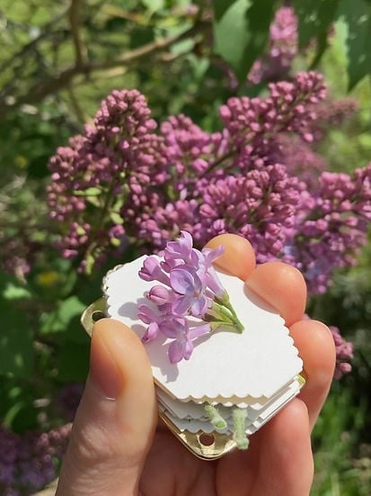 FloraKeep – Preserve Your Favorite Flowers Forever!