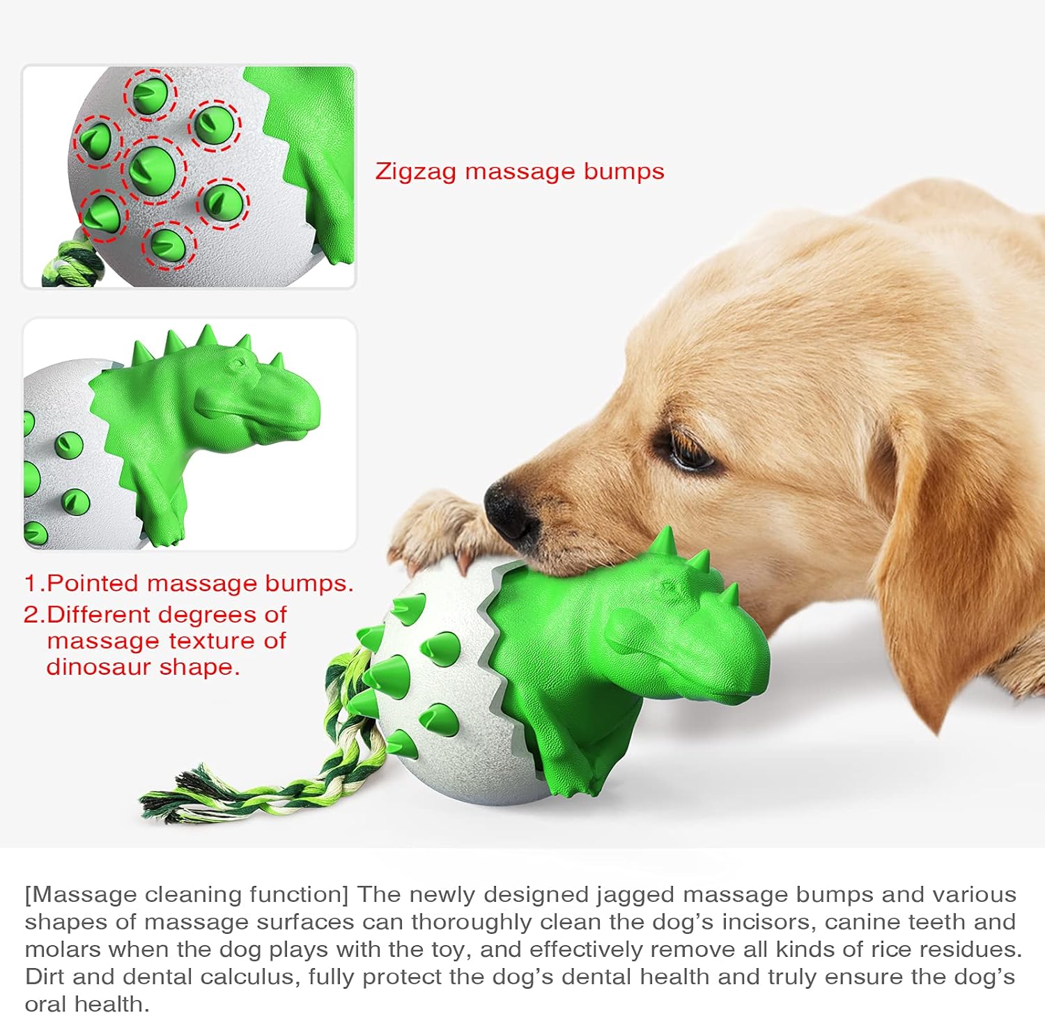 DinoEgg – The Indestructible Chew Egg for Healthy Dog Teeth