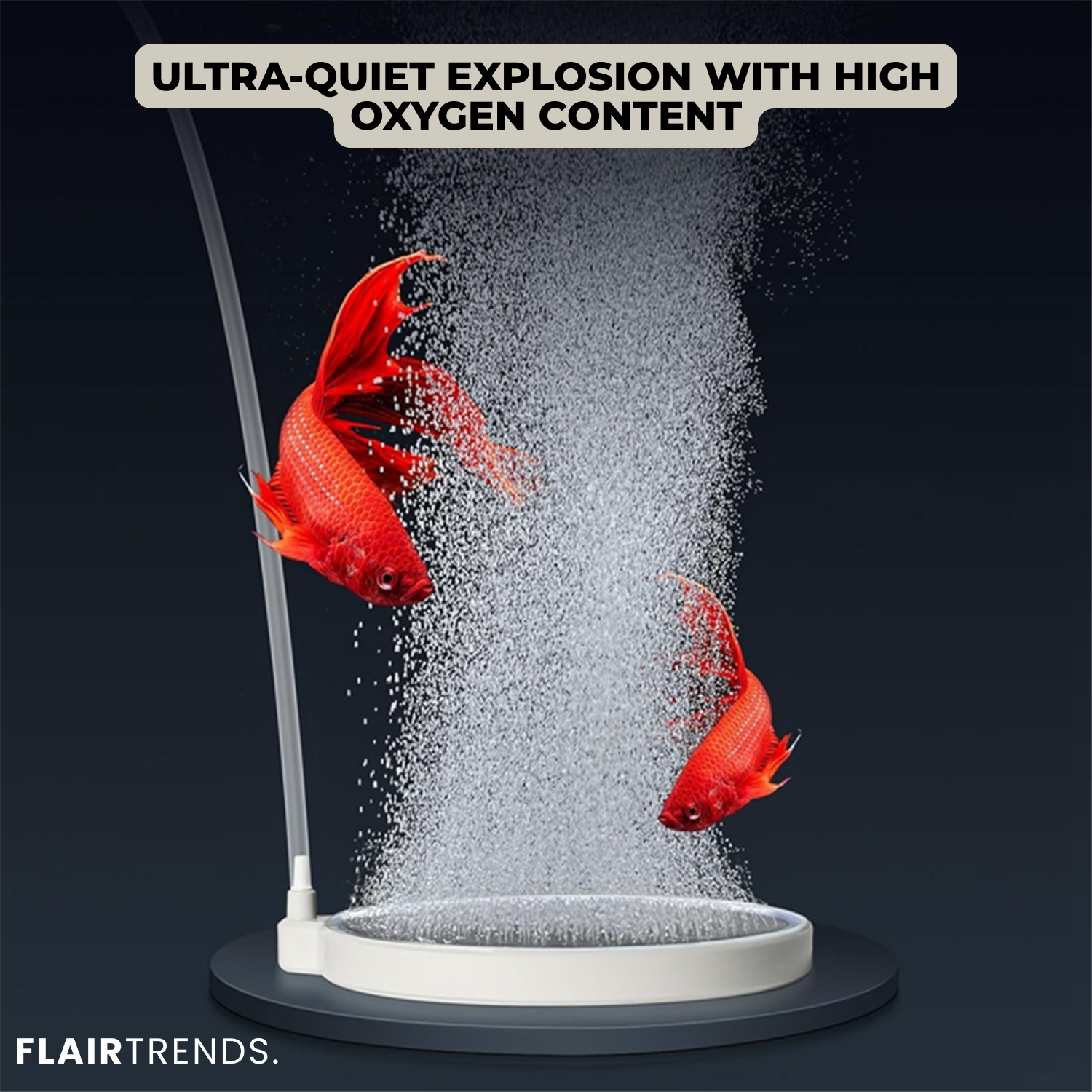 AquaBreathe Nano – Whisper-Quiet Fresh Air for Your Aquarium