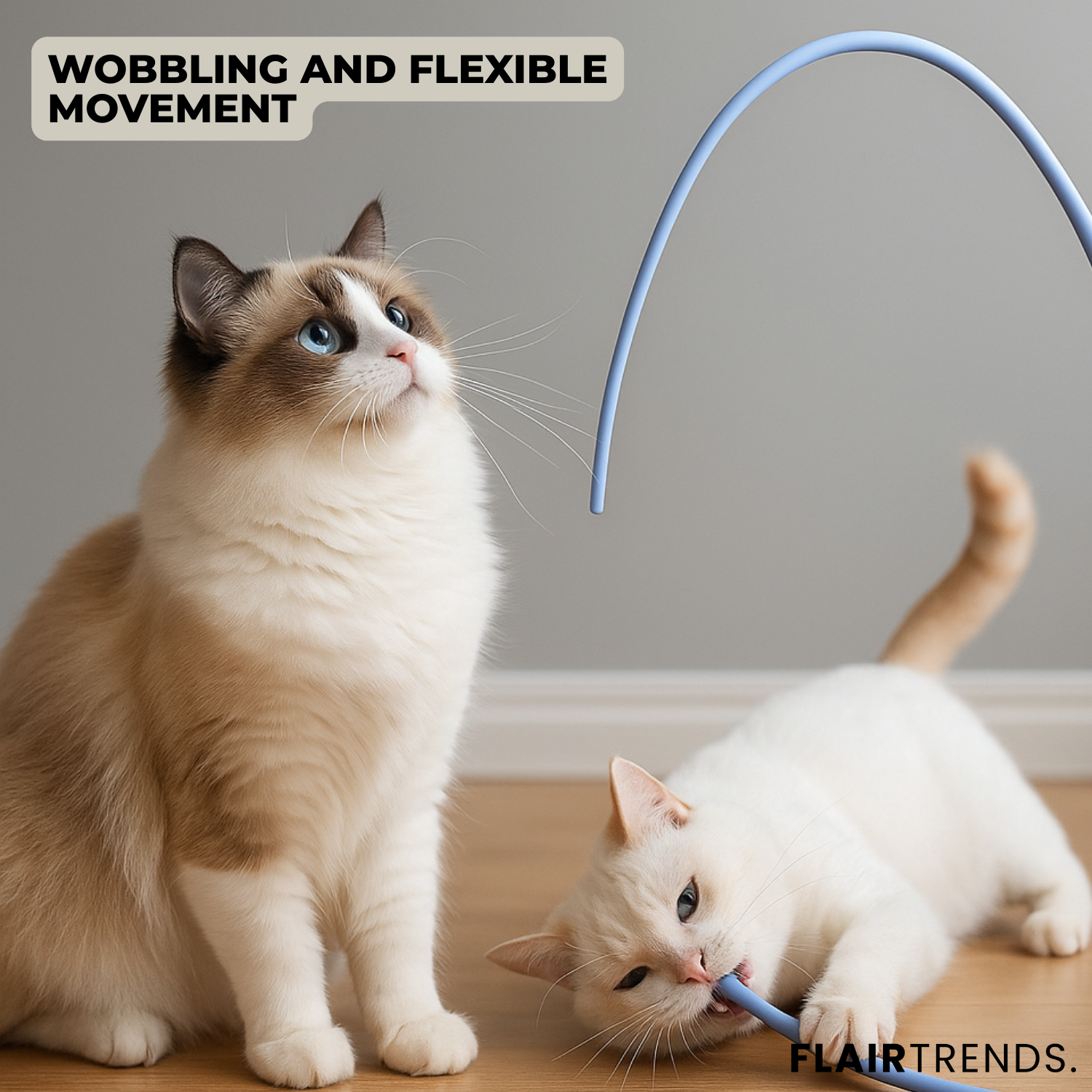 1+1 FREE | PawJoy – Play, Fun & Exercise for Your Cat!