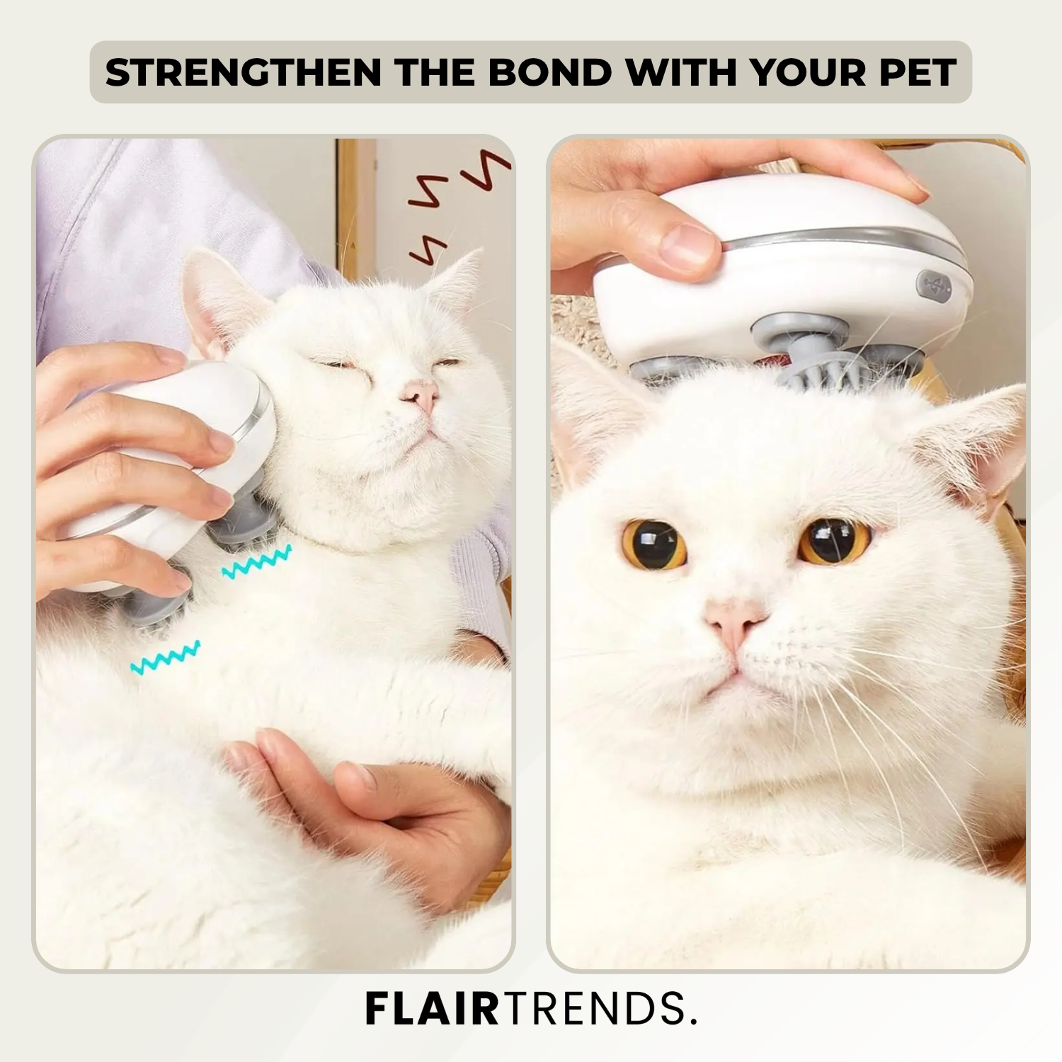 PurrEase – Relaxation Your Cat Will Love!