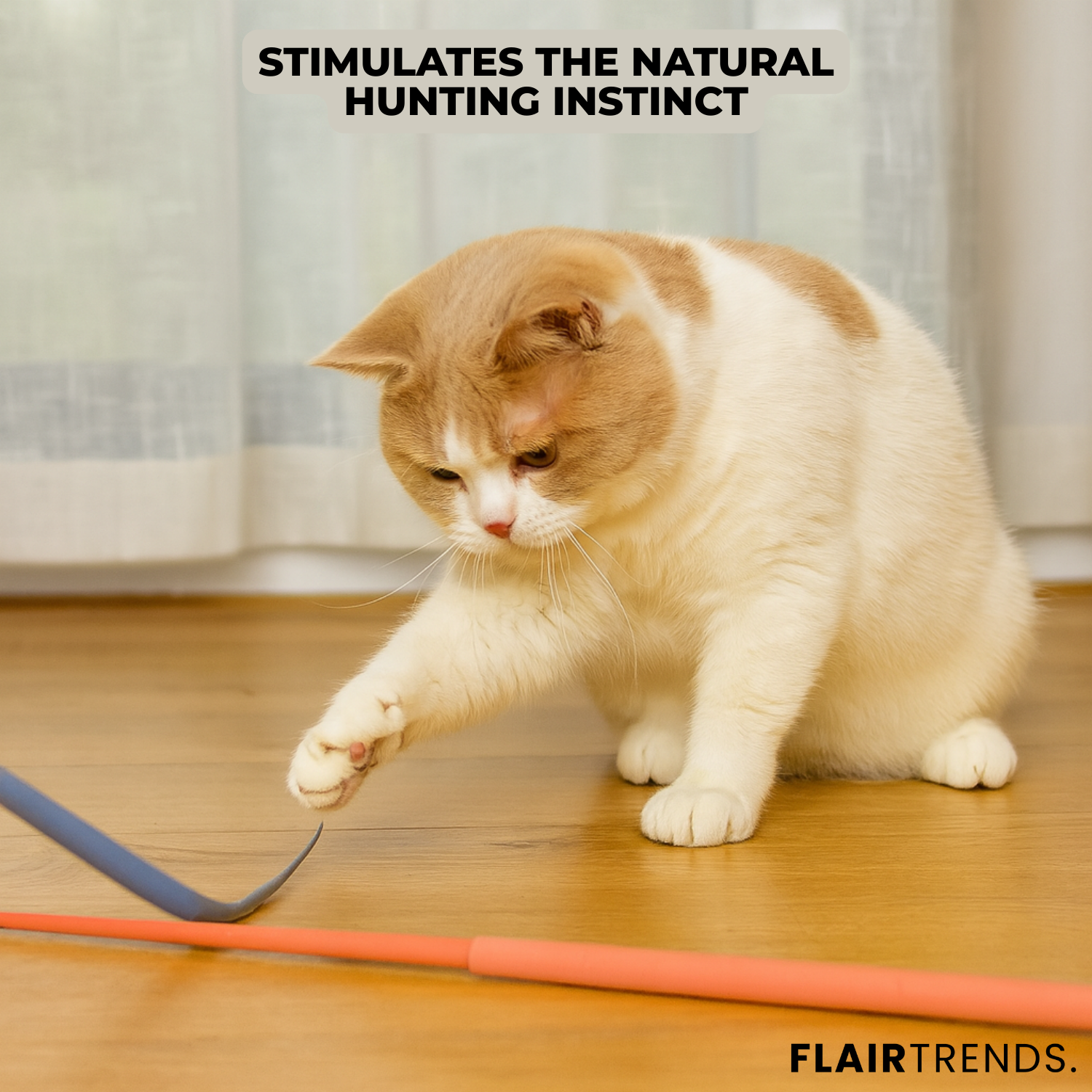 1+1 FREE | PawJoy – Play, Fun & Exercise for Your Cat!