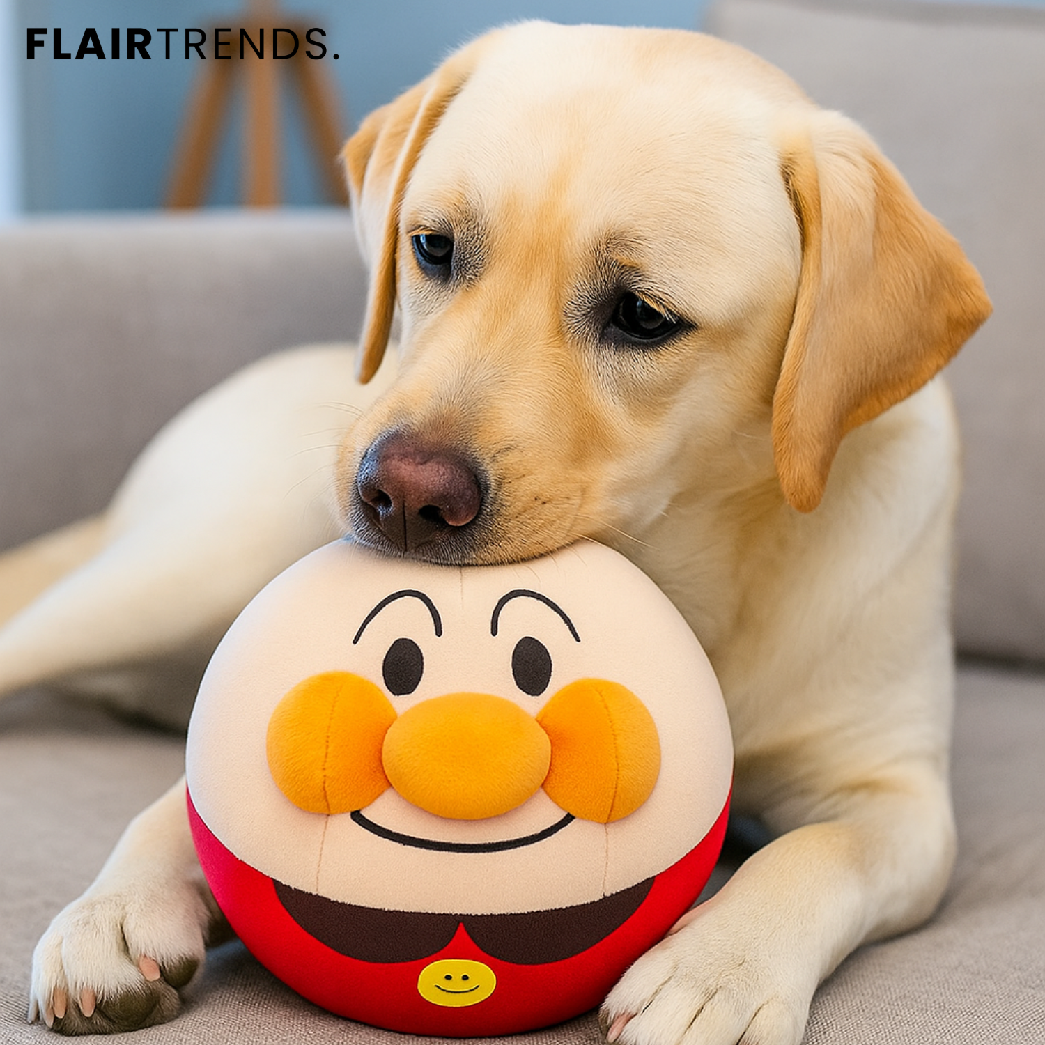 1+1 FREE | PawBounce – Endless Action for Happy Pets!