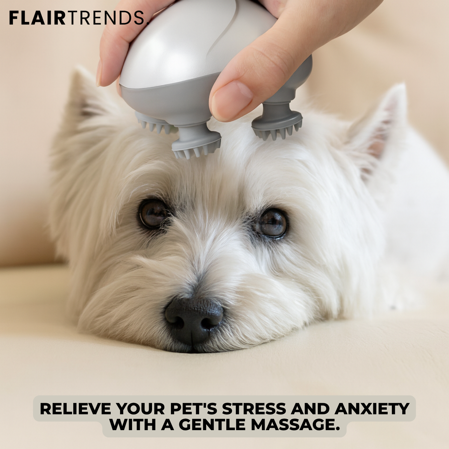 PurrEase – Relaxation Your Cat Will Love!
