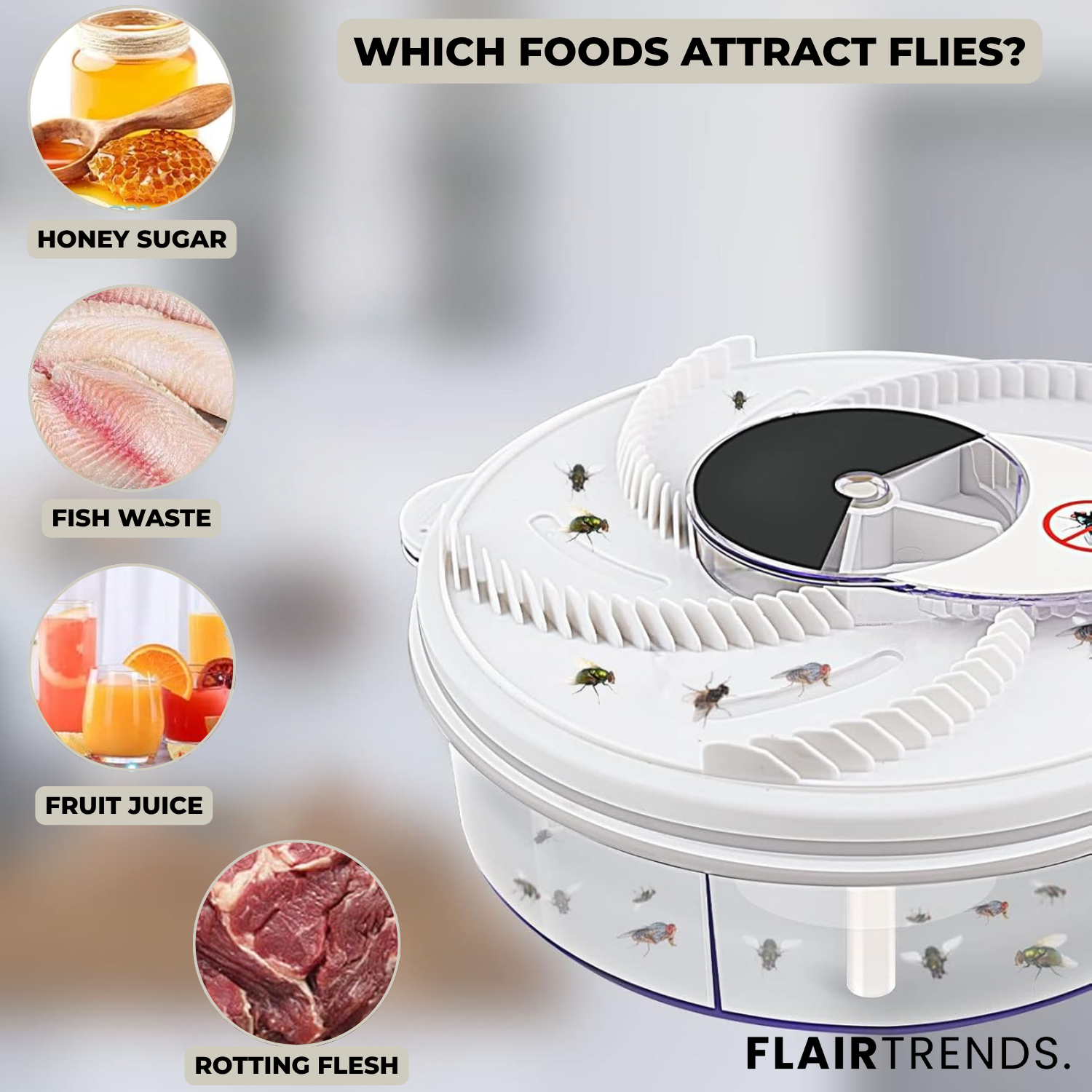 FlyFree – Silent & Chemical-Free Fly Trap