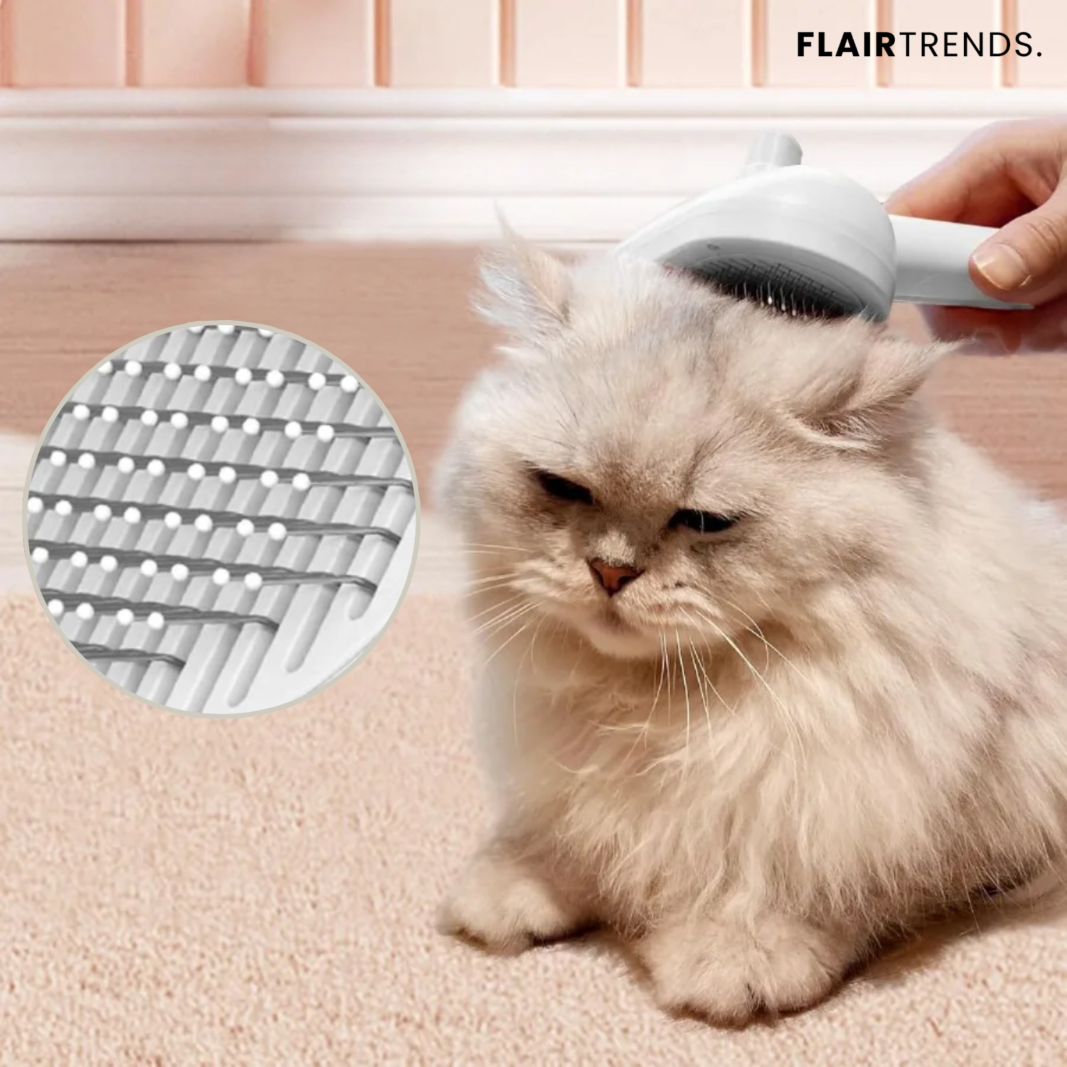 SteamCare – Shiny fur without pulling!