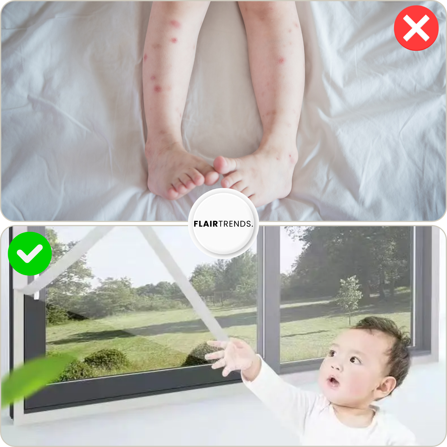 InsectGuard – Fresh Air Without the Bugs