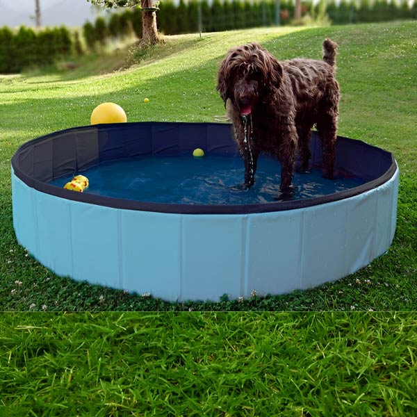 FoldiPool – The Foldable Pool Oasis for Pets & Children